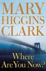 Mistaken Identity: Two Families, One Survivor, Unwavering Hope 