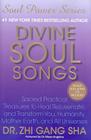 Divine Soul Songs: Sacred Practical Treasures to Heal, Rejuvenate, and Transform You, Humanity, Mother Earth, and All Universes [With CD (Audio)]