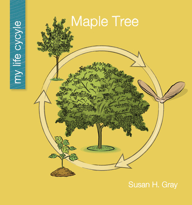Maple Tree (My Early Library: My Life Cycle)