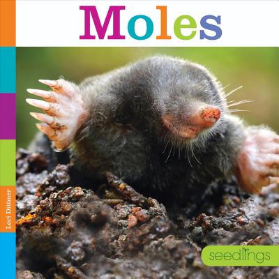 Moles (Seedlings: Backyard Animals) Cover Image