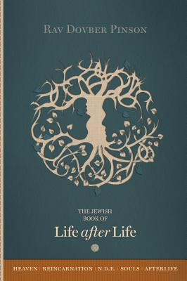 The Book of Life After Life Cover Image