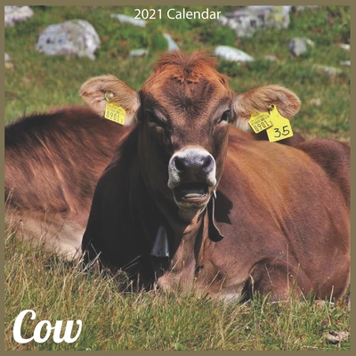 Cow 2021 Calendar: Official Animal Cows Wall Calendar 2021 Cover Image