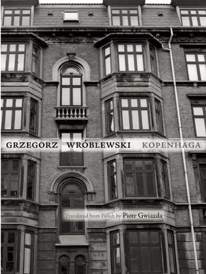 Cover for Kopenhaga (New Polish Writing)