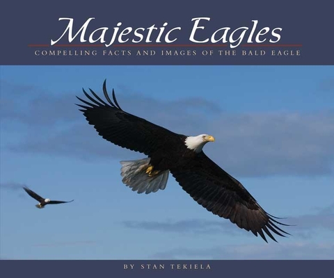 Cover for Majestic Eagles