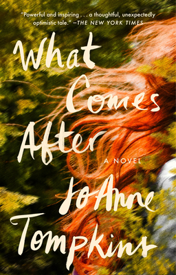 What Comes After: A Novel Cover Image