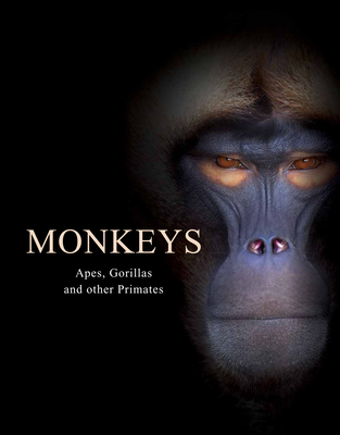 Monkeys: Apes, Gorillas and Other Primates By Tom Jackson Cover Image