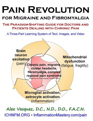 Pain Revolution for Migraine and Fibromyalgia: The Paradigm-Shifting Guide for Doctors and Patients Dealing with Chronic Pain (Inflammation Mastery & Functional Inflammology)