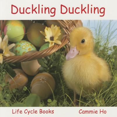 Duckling Duckling: Life Cycle Books By Cammie Ho Cover Image