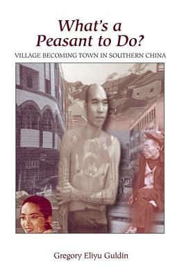 What's A Peasant To Do? Village Becoming Town In Southern China Cover Image