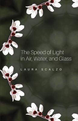 The Speed of Light in Air, Water, and Glass By Laura Scalzo Cover Image