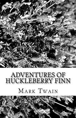 Adventures of Huckleberry Finn