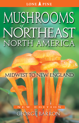 Mushroom identification guide northeast