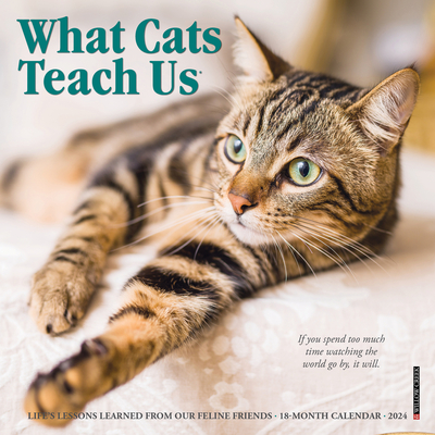 What Cats Teach Us 2024 7 X 7 Mini Wall Calendar Cover Image