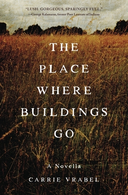 The Place Where Buildings Go Cover Image