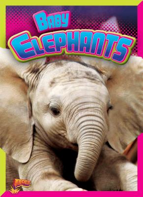 Baby Elephants (Adorable Animals) Cover Image