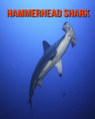 Hammerhead Shark Bookends 