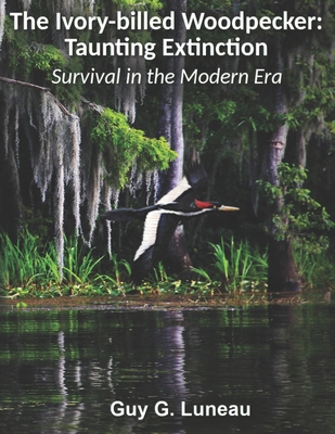 The Ivory-billed Woodpecker: Taunting Extinction: Survival in the Modern Era By Matt Courtman (Foreword by), Guy G. Luneau Cover Image