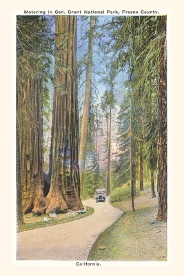 The Vintage Journal Grant Park, Fresno County, California Cover Image