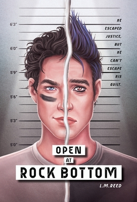 Open at Rock Bottom By L. M. Reed Cover Image