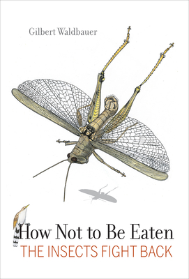 How Not to Be Eaten: The Insects Fight Back Cover Image