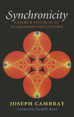 Synchronicity: Nature and Psyche in an Interconnected Universe (Carolyn and Ernest Fay Series in Analytical Psychology #15) By Joseph Cambray, David H. Rosen (Foreword by) Cover Image