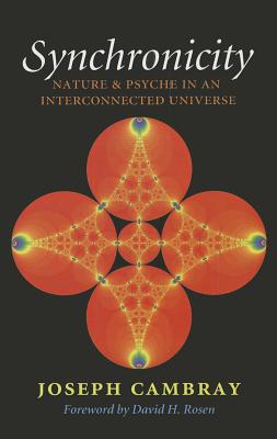 Synchronicity: Nature and Psyche in an Interconnected Universe (Carolyn and Ernest Fay Series in Analytical Psychology #15) Cover Image