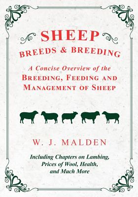 Sheep Breeds and Breeding - A Concise Overview of the Breeding, Feeding and Management of Sheep, Including Chapters on Lambing, Prices of Wool, Health Cover Image