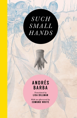Such Small Hands By Andrés Barba, Lisa Dillman (Translator), Edmund White (Afterword by) Cover Image