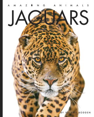 Jaguars (Amazing Animals) By Valerie Bodden Cover Image