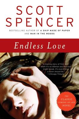 Endless Love: A Novel By Scott Spencer Cover Image