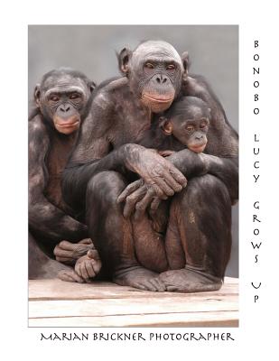 Bonobo Lucy Grows Up Cover Image