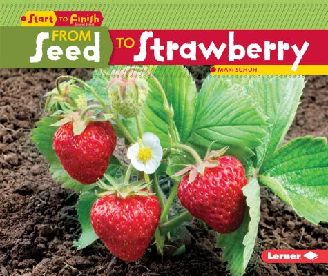 From Seed to Strawberry (Start to Finish)