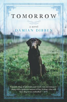 Tomorrow By Damian Dibben Cover Image