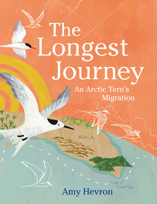 The Longest Journey: An Arctic Tern's Migration By Amy Hevron Cover Image