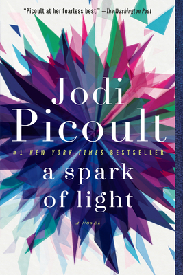 Cover Image for A Spark of Light: A Novel