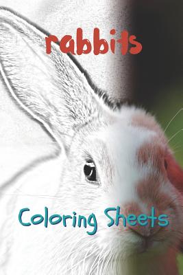 Rabbit Coloring Sheets: 30 Rabbit Drawings, Coloring Sheets Adults Relaxation, Coloring Book for Kids, for Girls, Volume 14 By Julian Smith Cover Image