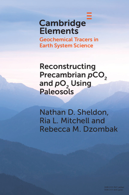 Reconstructing Precambrian Pco2 and Po2 Using Paleosols (Elements in Geochemical Tracers in Earth System Science)