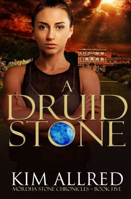 A Druid Stone: A Time Travel Romance Adventure