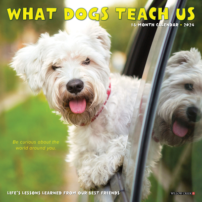 What Dogs Teach Us 2024 7 X 7 Mini Wall Calendar Cover Image