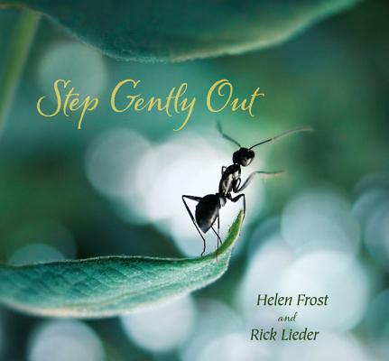 Step Gently Out (Step Gently, Look Closely) Cover Image