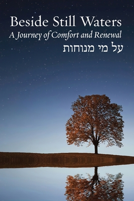 Beside Still Waters: A Journey of Comfort and Renewal By Rachel Barenblat (Editor) Cover Image