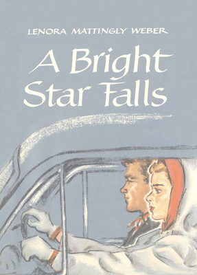 Bright Star Falls (Beany Malone) Cover Image