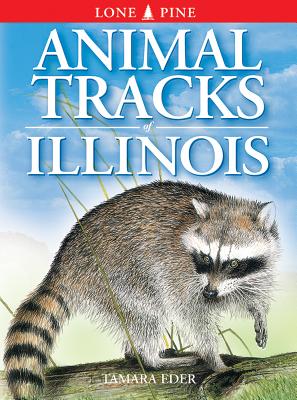 Animal Tracks of Illinois By Tamara Eder, Gary Ross (Illustrator), Ted Nordhagen (Illustrator) Cover Image