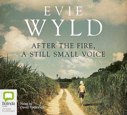 After the Fire, a Still Small Voice Cover