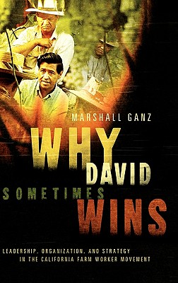 Cover for Why David Sometimes Wins