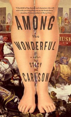 Cover Image for Among the Wonderful