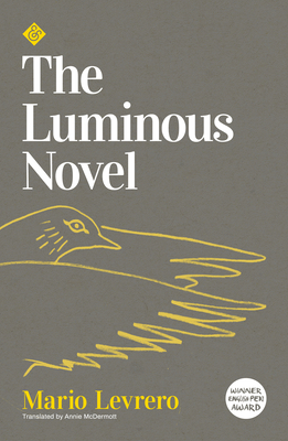 Cover for Luminous Novel