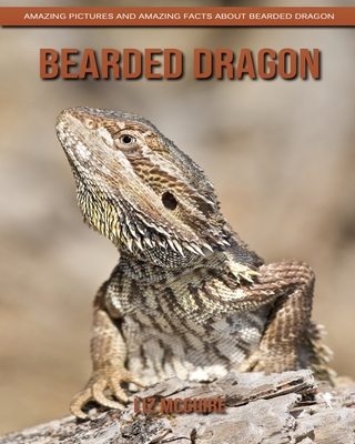 Bearded dragons: facts and photos