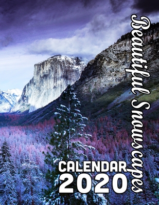Beautiful Snowscapes 14-Month Desk Calendar 2020: Cold and Colorful - Beautiful Photos to Enhance Your Year By Calendar Gal Press Cover Image