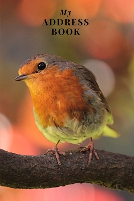My Address Book: Robin - Address Book for Names, Addresses, Phone Numbers, E-mails and Birthdays By Me Books Cover Image